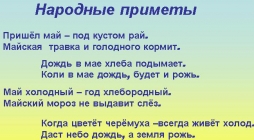 Подсказки природы Подсказки природы