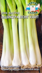 Лук Ишикура - альтернатива порею Лук Ишикура - альтернатива порею