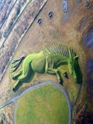 Земля из космоса Земля из космоса