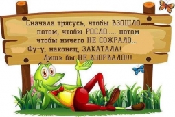 Спокойная жизнь на даче Спокойная жизнь на даче