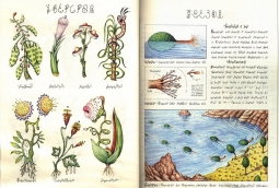 Фантастические рисунки Луиджи Серафини Фантастические рисунки Луиджи Серафини