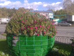 Городская клумба-шар Городская клумба-шар