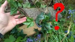 Где спрятать ключ от дачи? Где спрятать ключ от дачи?