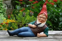 Откуда в саду появились гномы? Откуда в саду появились гномы?
