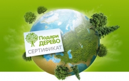 Проект "Подари дерево" Проект "Подари дерево"