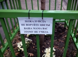 Цветочные воры Цветочные воры