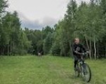 Спасение лесов — в трансгенах Спасение лесов — в трансгенах