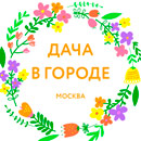 Дача в городе