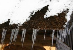 Крыша без сосулек Крыша без сосулек