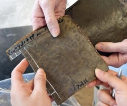 Экологичные покрышки из пищевых отходов Экологичные покрышки из пищевых отходов