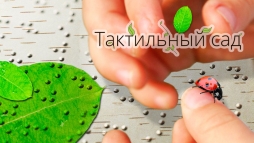 Тактильный сад Тактильный сад