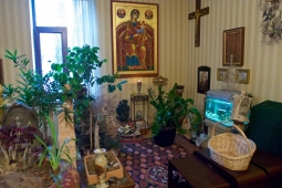 Оранжерея Патриарха Оранжерея Патриарха