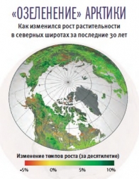 Озеленение Арктики Озеленение Арктики