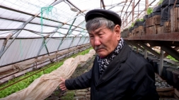Казахстанский Мичурин Казахстанский Мичурин