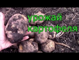 Что делать с рекордами? Что делать с рекордами?