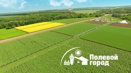 Полевой город Полевой город