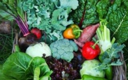 Овощи, которые проще вырастить, чем купить Овощи, которые проще вырастить, чем купить