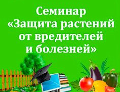 Онлайн-семинар по защите растений в Казани Онлайн-семинар по защите растений в Казани