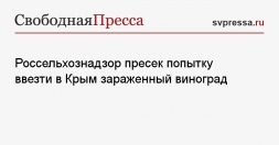 Заражённый виноград Заражённый виноград