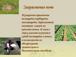 Нанопорошок для восстановления почвы Нанопорошок для восстановления почвы