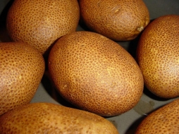 Золотая картошка Золотая картошка