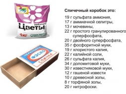 Таблица весов Таблица весов