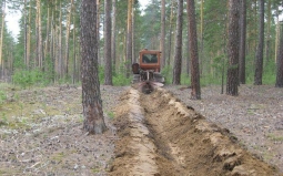 Участок у леса Участок у леса