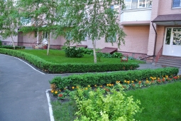 Как правильно облагородить придомовую территорию в городе