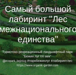 В России создадут самый большой лабиринт из растений В России создадут самый большой лабиринт из растений