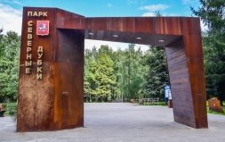 Осенняя прогулка Осенняя прогулка