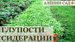 Мифы сидерации ... ?
