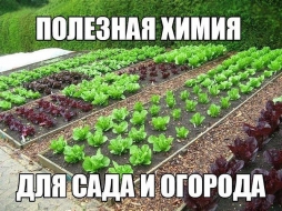 Предстоящие покупки Предстоящие покупки