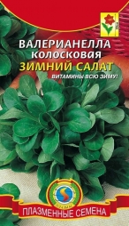 Валерианелла - кукурузный салат Валерианелла - кукурузный салат