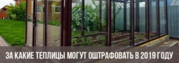 За теплицу теперь могут и оштрафовать ... За теплицу теперь могут и оштрафовать ...
