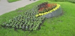 Перфорированные листы Перфорированные листы