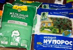 Железный купорос и медный купорос - отличия Железный купорос и медный купорос - отличия