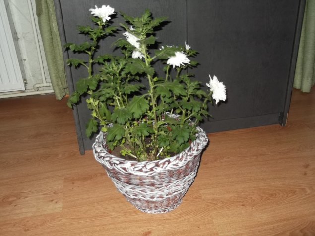 Кашпо из бумажной лозы своими руками . Кашпо из бумажной лозы своими руками .