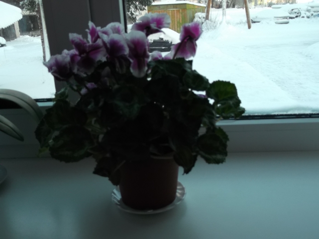 У природы нет плохой погоды . У природы нет плохой погоды .
