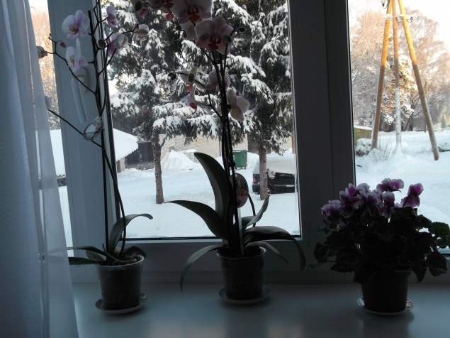 У природы нет плохой погоды . У природы нет плохой погоды .