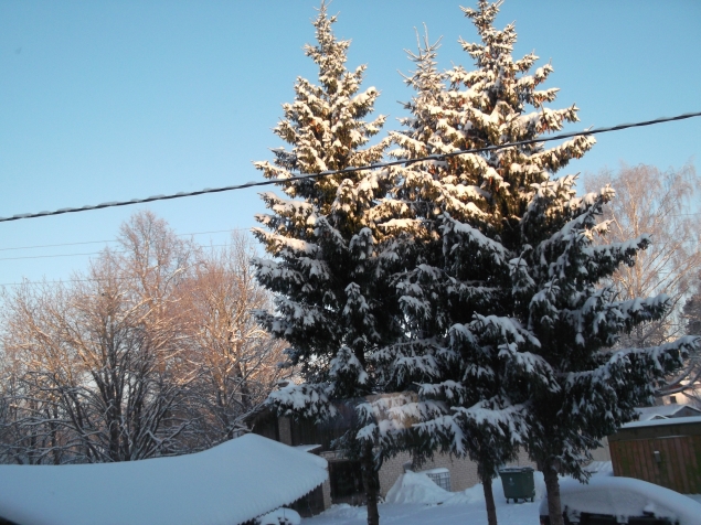 У природы нет плохой погоды . У природы нет плохой погоды .