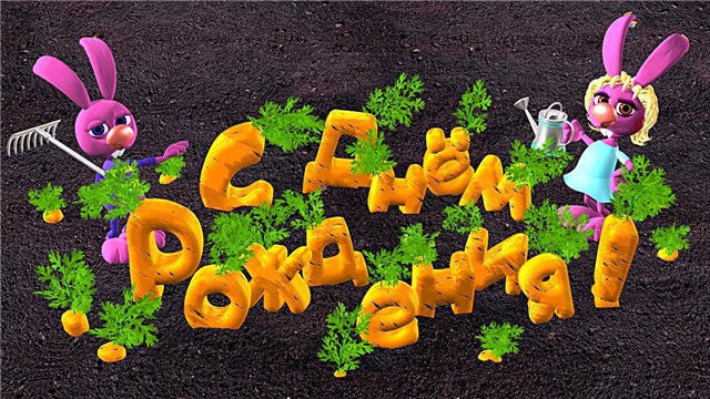 Ура, виртуальные посиделки объявляются открытыми. Ура, виртуальные посиделки объявляются открытыми.