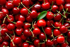 Как вырастить вишню без косточек? Как вырастить вишню без косточек?