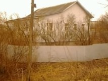 Сирень вместо забора для защиты от пыли Сирень вместо забора для защиты от пыли