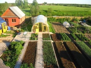 Советы огородникам Советы огородникам
