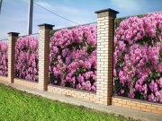 Фотосетка на заборе. Очень красиво! Фотосетка на заборе. Очень красиво!