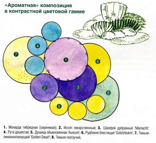 ОСНОВНЫЕ МОМЕНТЫ, КОТОРЫЕ НЕОБХОДИМО УЧИТЫВАТЬ ПРИ ВЫБОРЕ РАСТЕНИЙ ДЛЯ ОФОРМЛЕНИЯ САДА ОСНОВНЫЕ МОМЕНТЫ, КОТОРЫЕ НЕОБХОДИМО УЧИТЫВАТЬ ПРИ ВЫБОРЕ РАСТЕНИЙ ДЛЯ ОФОРМЛЕНИЯ САДА
