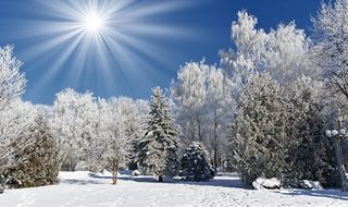 Приметы на декабрь.Работы по лунному календарю в декабре. Приметы на декабрь.Работы по лунному календарю в декабре.