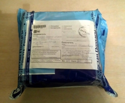 Новогодний подарок из Казани. Новогодний подарок из Казани.