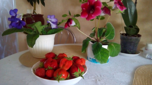 Прогулка по моей дачке.