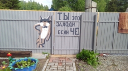 Прогулка по моей дачке.